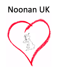 NoonanUK logo
